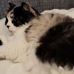 Meet your Posher, Janelle